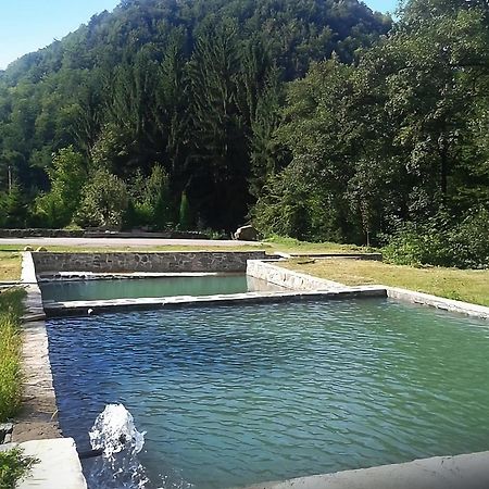 Pensiunea Limpedea Baia Sprie Exterior foto