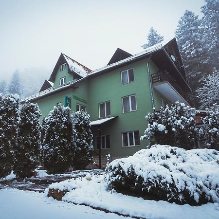 Pensiunea Limpedea Baia Sprie Exterior foto