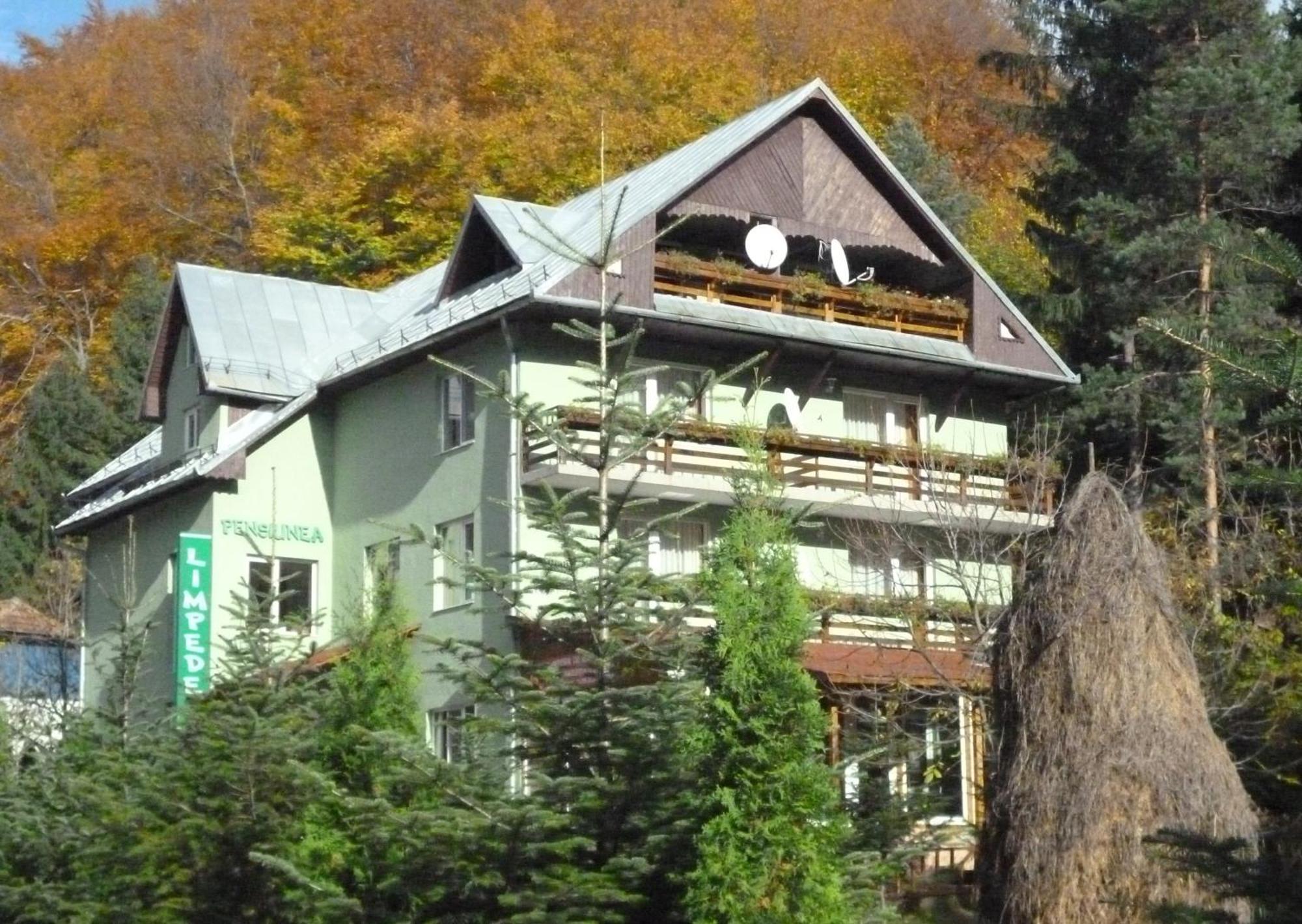 Pensiunea Limpedea Baia Sprie Exterior foto