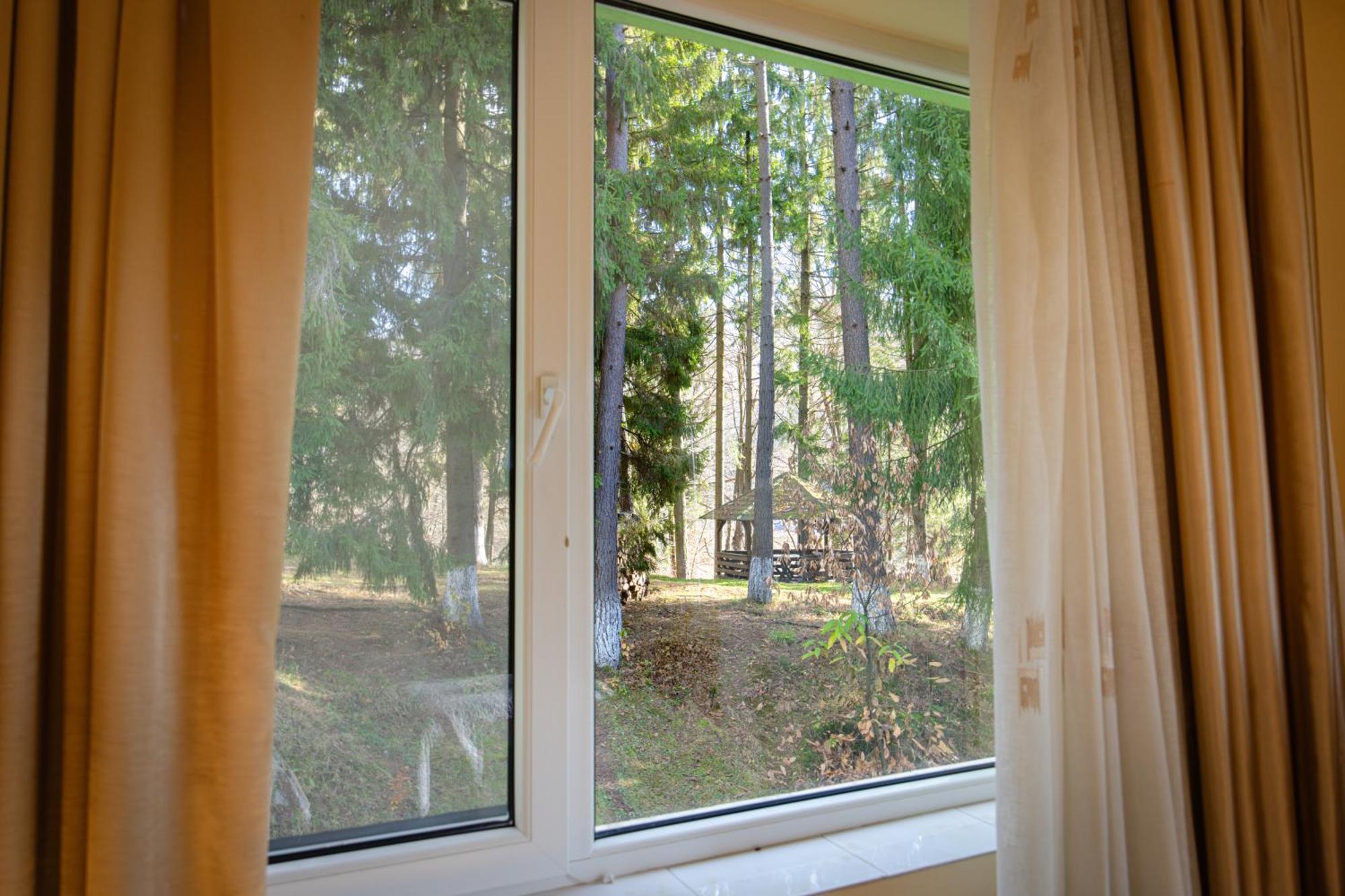 Pensiunea Limpedea Baia Sprie Habitación foto